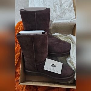UGG classic short II Chocolate Boots